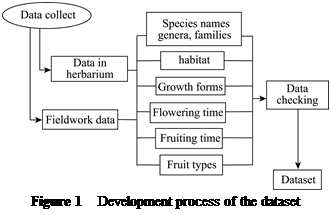 ??????:
Figure 1 Development process of the dataset
